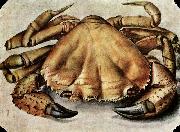 Albrecht Durer Lobster oil